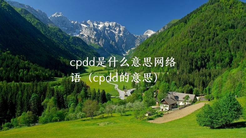 cpdd是什么意思网络语（cpdd的意思）