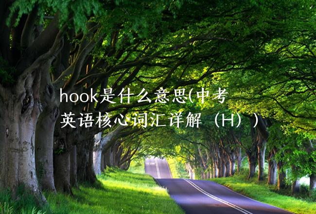 hook是什么意思(中考英语核心词汇详解（H）)