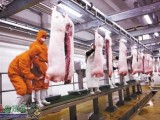 2021年生猪屠宰管理条例修订