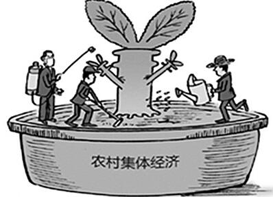 四川省农村集体经济组织条例最新-第1张-法律知识-足足文章