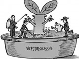 四川省农村集体经济组织条例最新