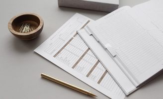 穿著金融科技外衣的品鈦 為何上半年收入下滑17%？