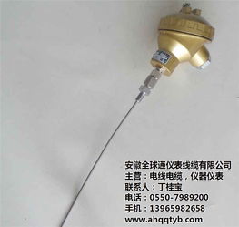 耐磨鎧裝熱電偶價(jià)格解析與安徽全球通在線咨詢(xún)指南